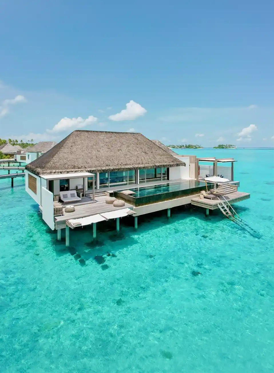 media.category.imagealternatetextformat